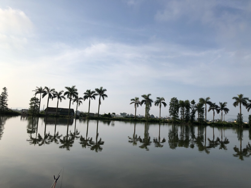 明知是打龟的天气但压不住出钓的心