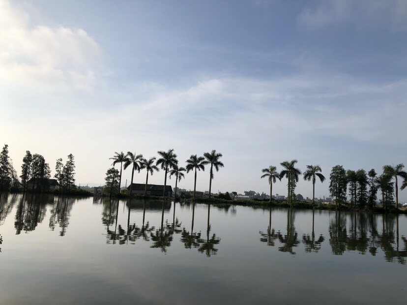 明知是打龟的天气但压不住出钓的心