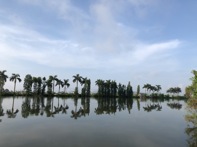 明知是打龟的天气但压不住出钓的心