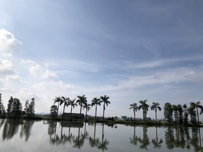 明知是打龟的天气但压不住出钓的心