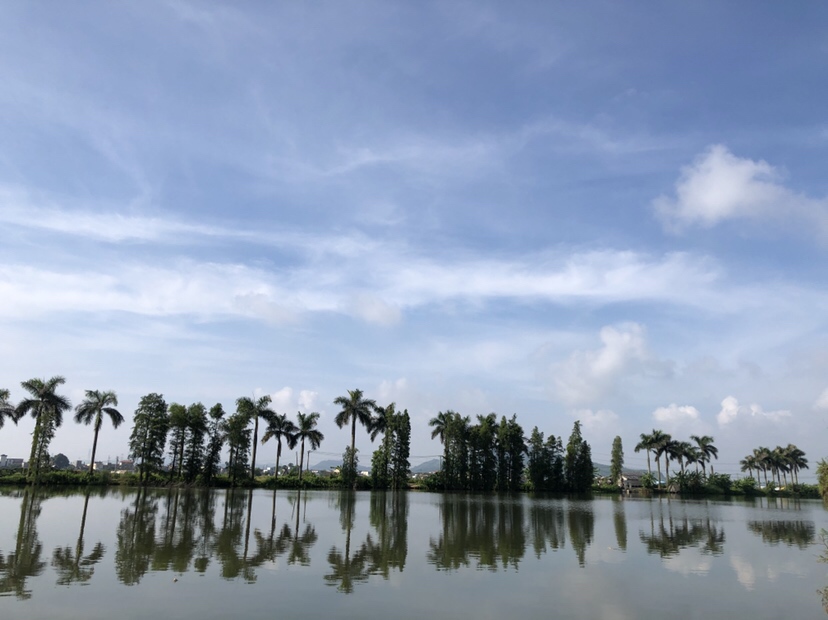 明知是打龟的天气但压不住出钓的心