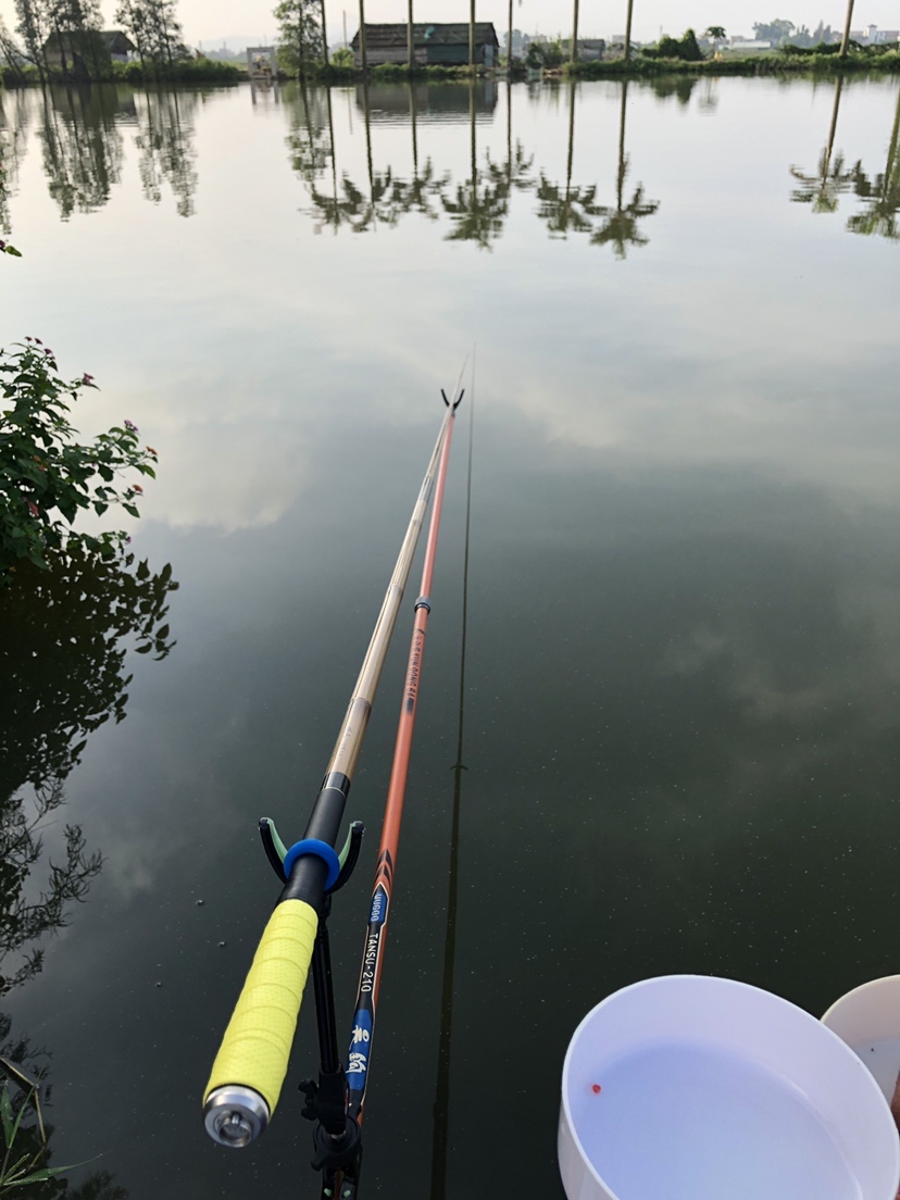 明知是打龟的天气但压不住出钓的心