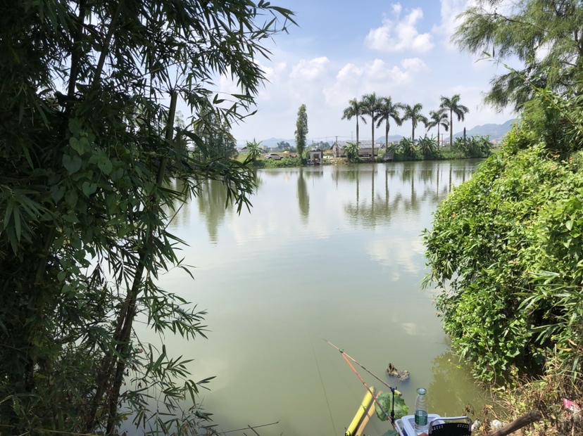 明知是打龟的天气但压不住出钓的心