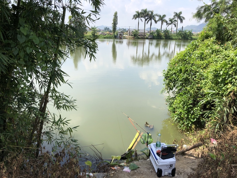 明知是打龟的天气但压不住出钓的心