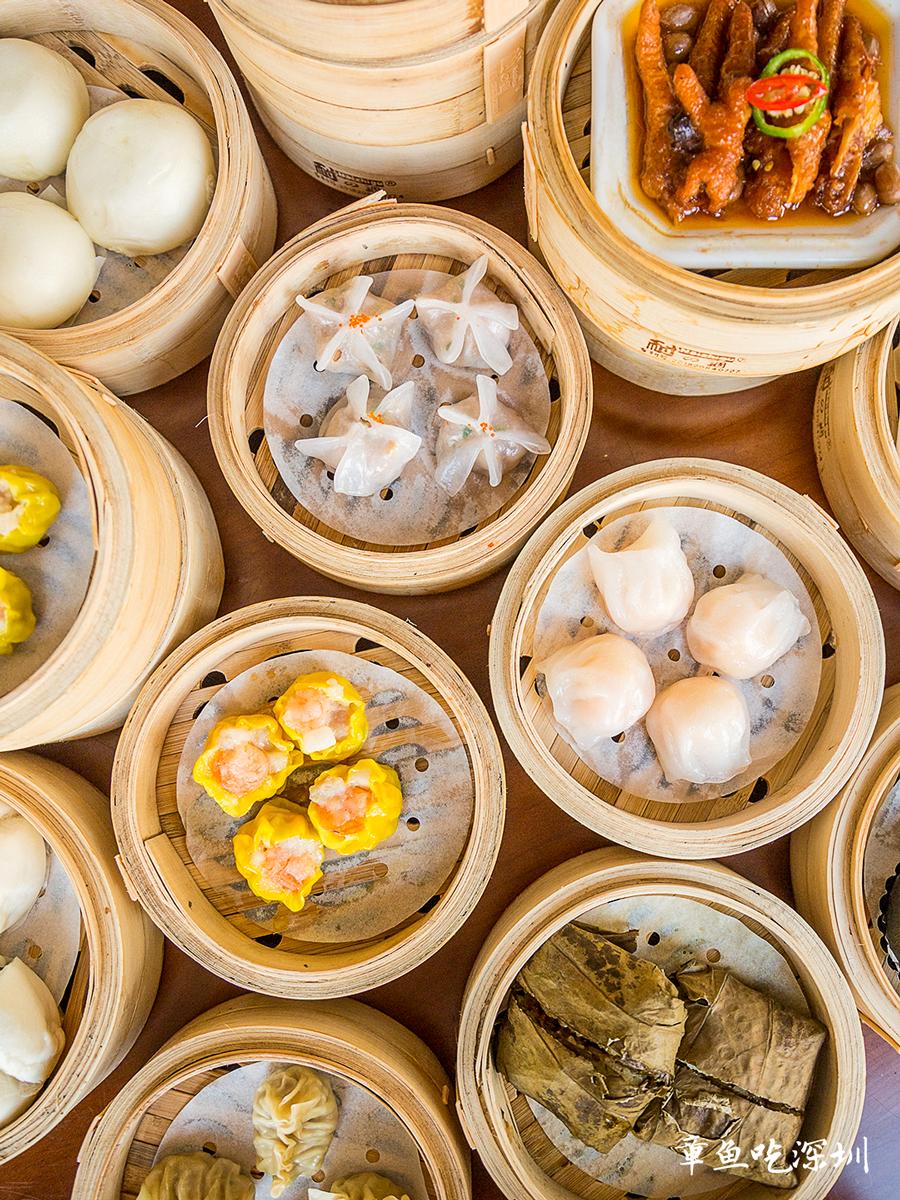 大龙华夜茶,大龙华夜茶怎么样