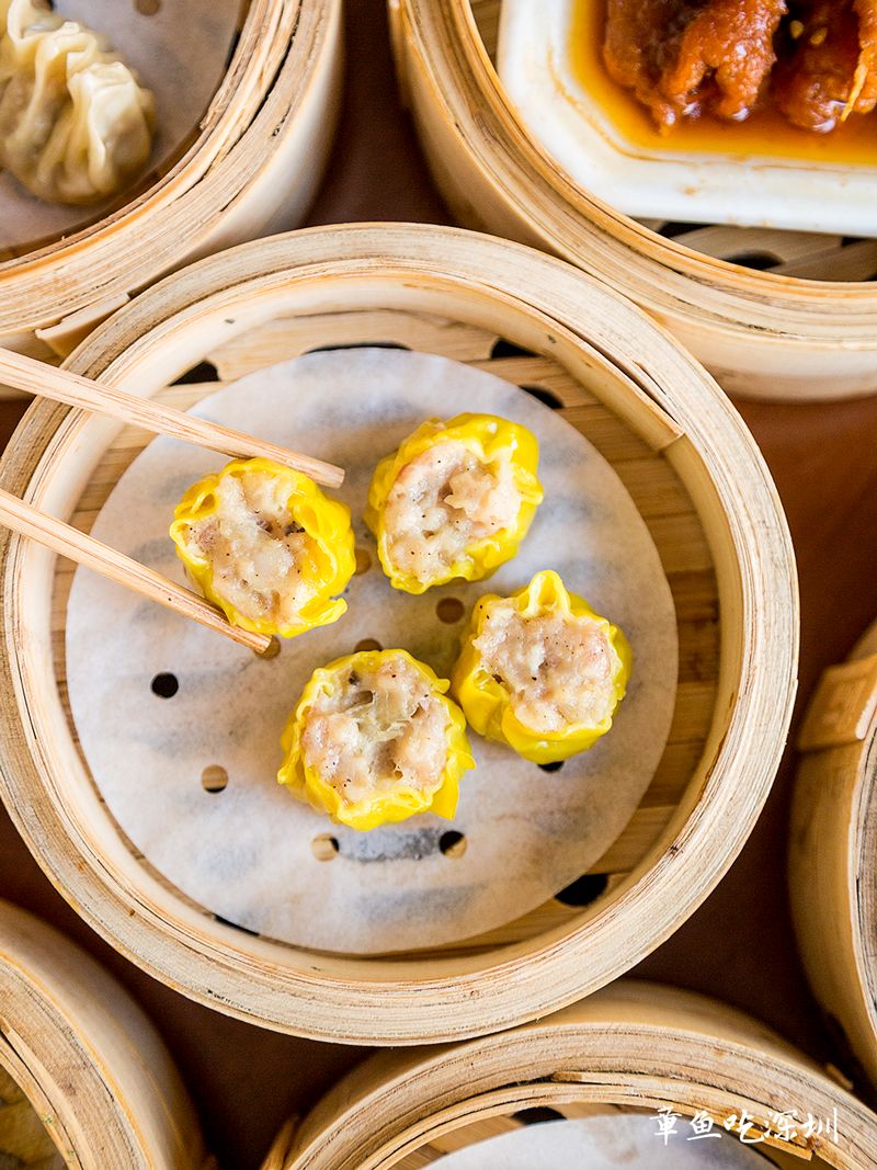 大龙华夜茶,大龙华夜茶怎么样