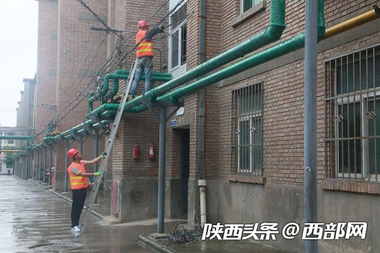 老旧小区如何消除蜘蛛网,老旧小区蜘蛛网整治