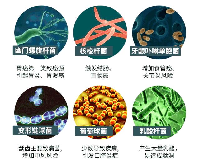 秒除口臭,一秒解决当天口臭