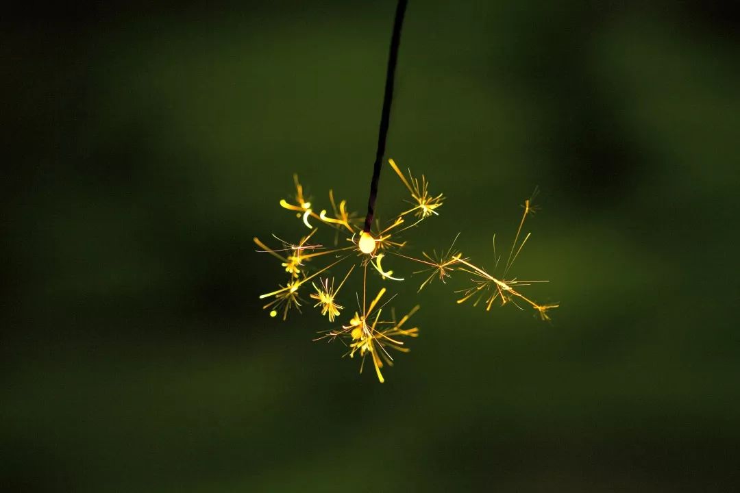 瞬间的璀璨烟火,瞬间的闪耀韩剧