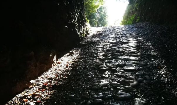 新丝绸之路有几条,丝绸之路最深度解析