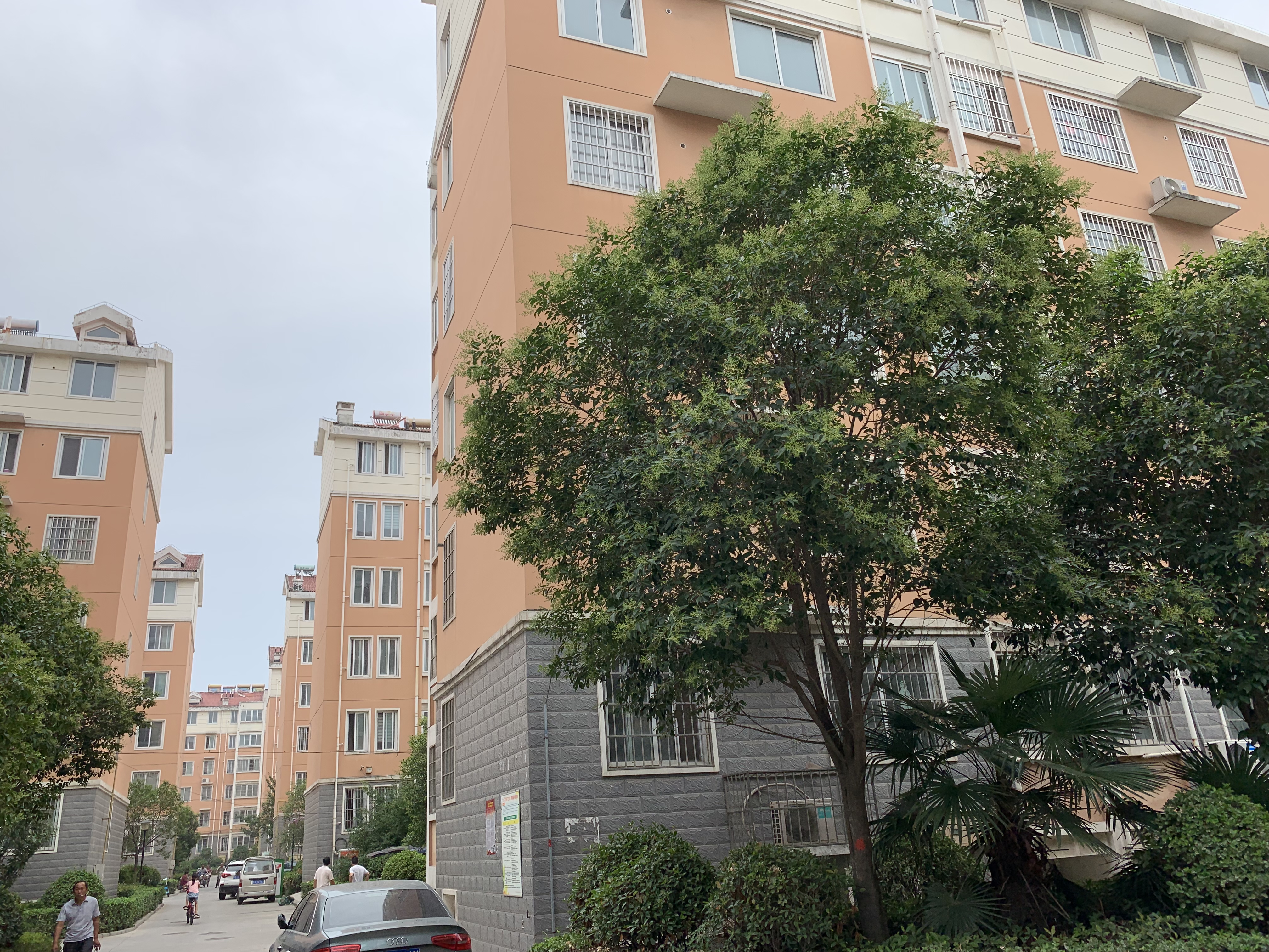 五云山别墅乱象,五云山乱象怎么处理的