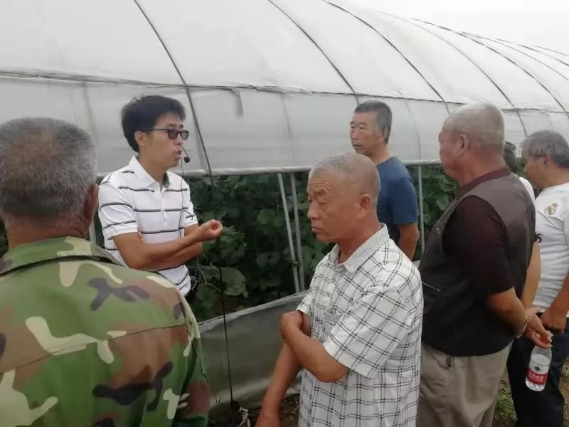 鄂尔多斯智能温室无土栽培,智能温室无土栽培作物有哪些