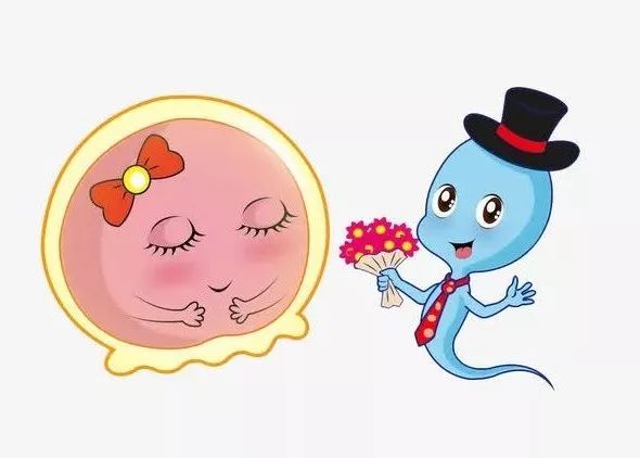 “体外射精”真的不会怀孕吗?