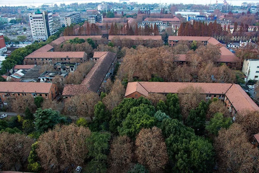 天呐！武汉这个区开挂了！反正我是羡慕了！