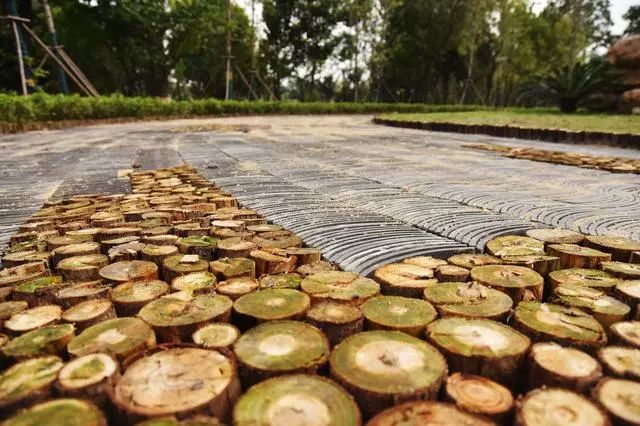 天呐！武汉这个区开挂了！反正我是羡慕了！