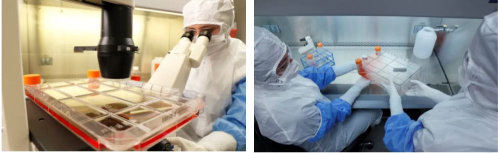 中国神经干细胞治疗中风临床试验,中国干细胞治疗脑中风突破性进展