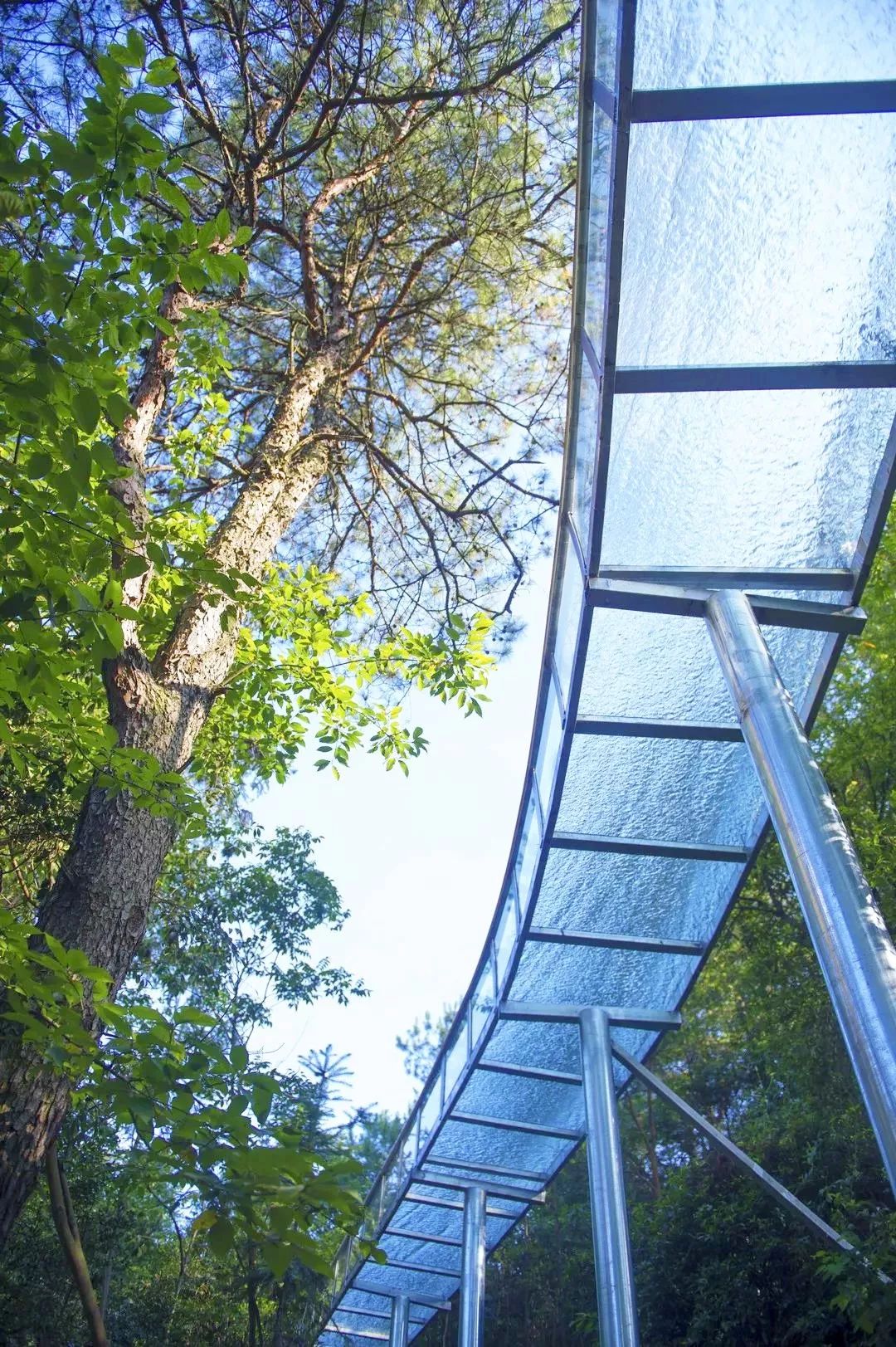 玩水凉快的旅游胜地,浙江夏天玩水的旅游景区