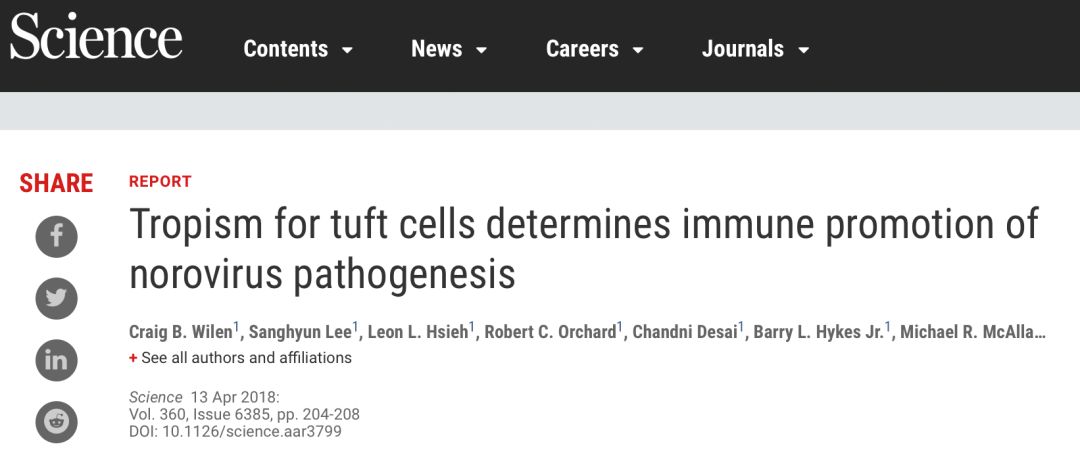 诺如病毒正确消毒方法,北京市诺如病毒高发期