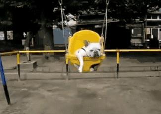 健身房体验后的真实感受,真实的健身房锻炼