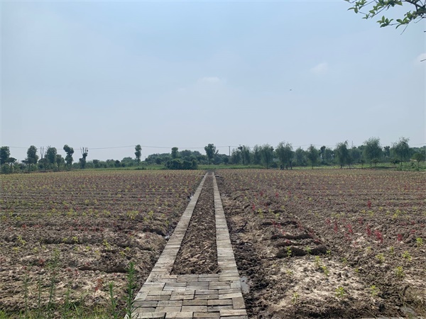 走乡村看新貌视频,走进乡村看振兴印江板溪