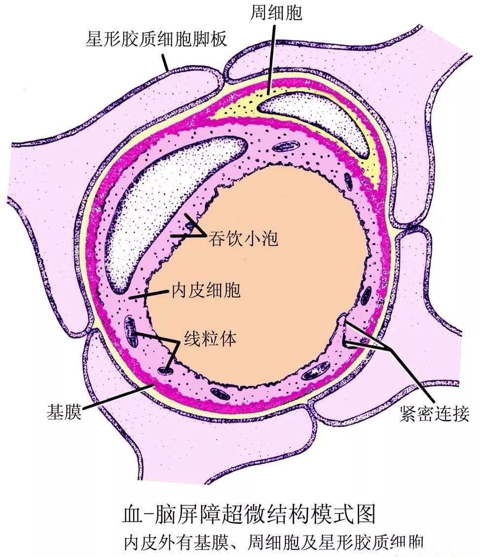 认清“打K”产生的幻觉,你可能是吸毒者里最清醒的人
