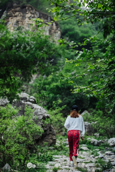 野三坡团建都住哪里,野三坡亲子游攻略