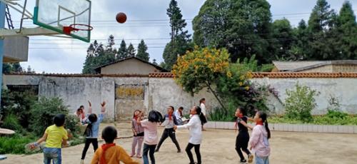 秦岚粉丝联合应援,秦岚粉丝后援会