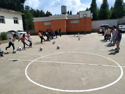 秦岚粉丝联合应援,秦岚粉丝后援会