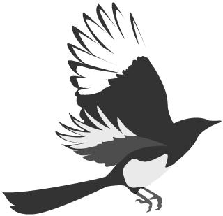 茗于物我|茶器、美学与生活