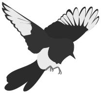 茗于物我|茶器、美学与生活