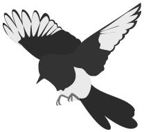 茗于物我|茶器、美学与生活