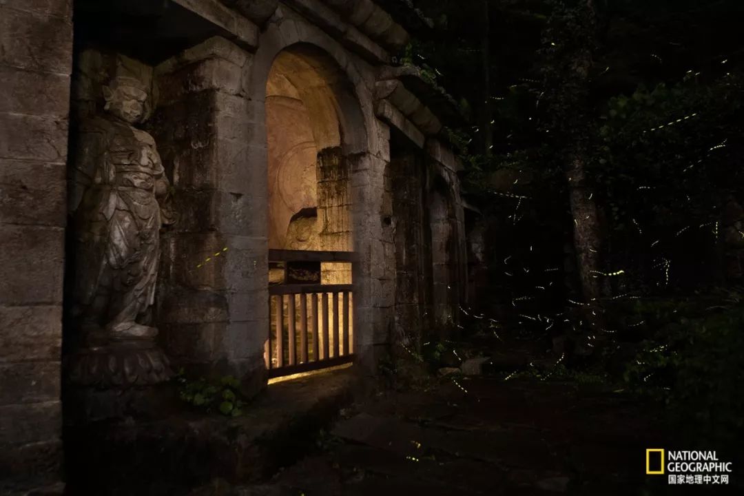 南京古寺看萤火,南京萤火虫在灵谷寺还是明孝陵