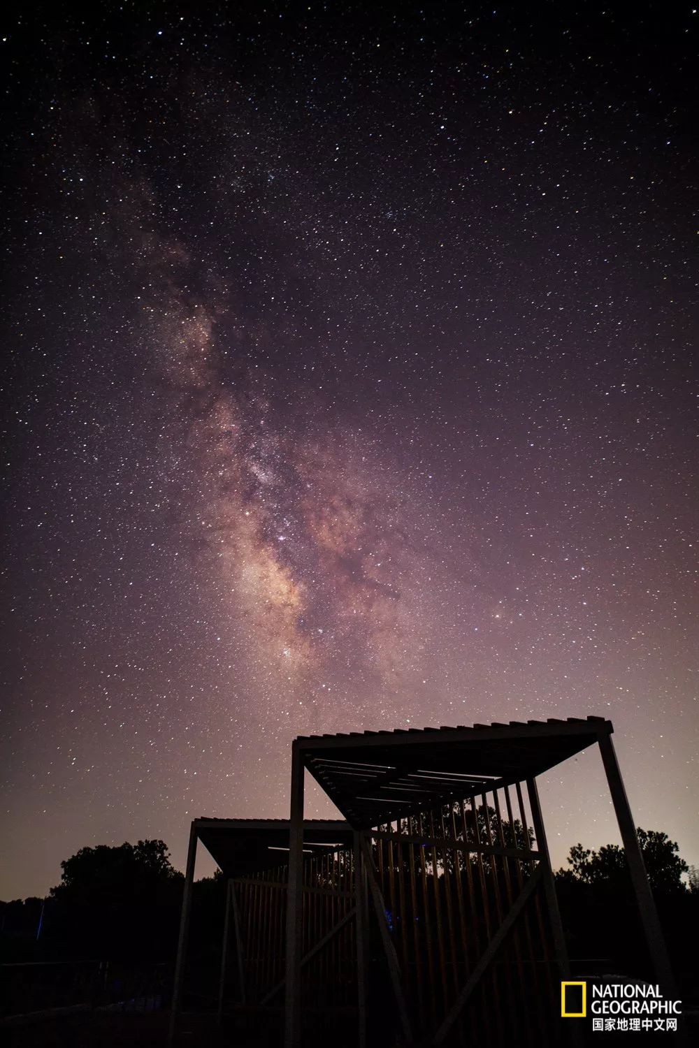 南京古寺看萤火,南京萤火虫在灵谷寺还是明孝陵