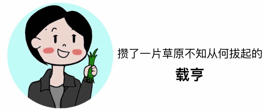 空瓶无限回购好物,空瓶回购率高的好物