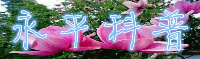 急救知识讲座及应急处突方法培训,急救常识和应急方法