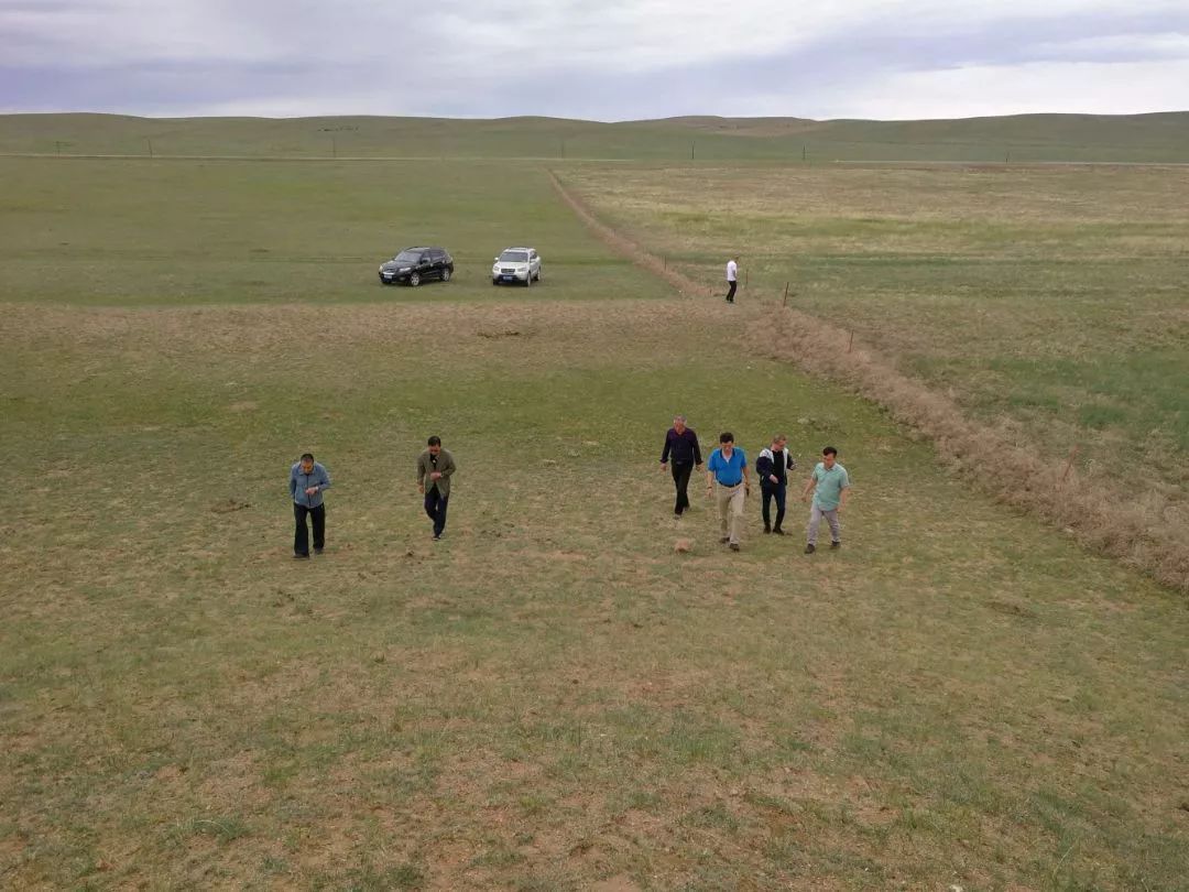 达茂旗岩画,包头市敖伦苏木古城