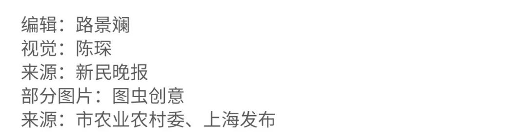 00后“女土豪”微店疯狂网购,不花一分钱!她用的是这个......