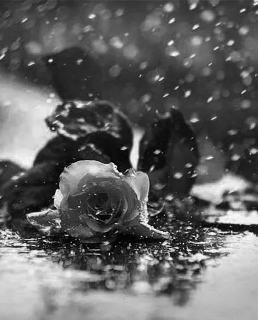 怀旧老歌粉红色的回忆,邓丽君100首老歌回忆经典