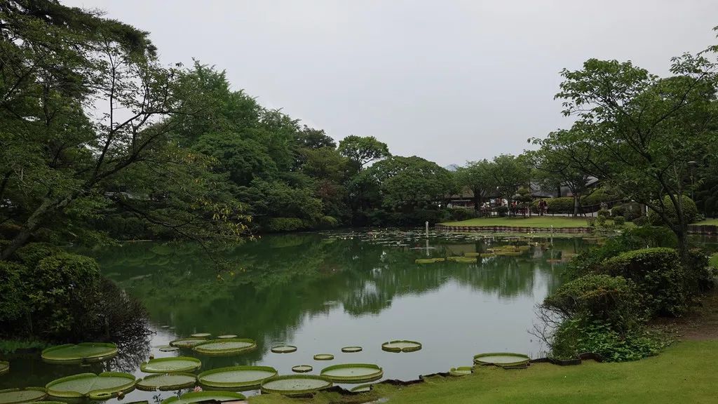 日本确定3月1日开放入境吗,日本开放办理工作签证的最新消息