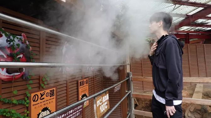 日本确定3月1日开放入境吗,日本开放办理工作签证的最新消息