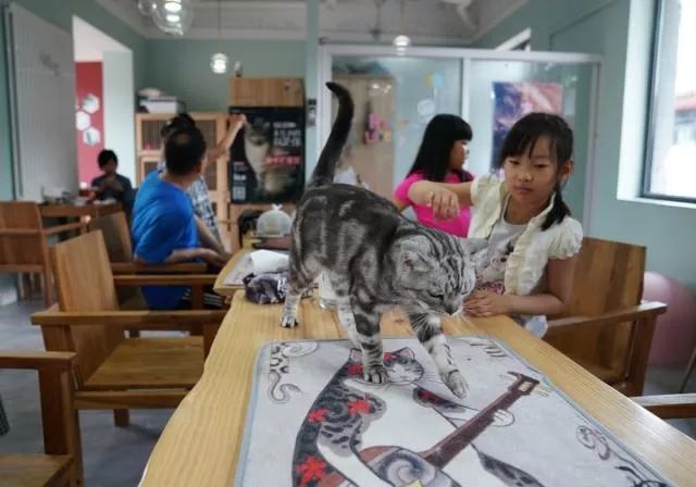 石景山的798,石景山798地址