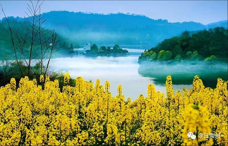 暖心安心舒心的工作环境,暖心安心舒心的意思