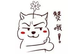 2019年2月至5月份郑州大事,2019年郑州大事件30条