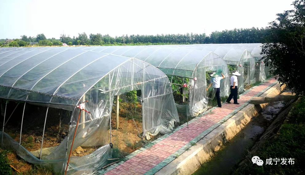 「政务」船到中流劲撑篙！二季度全市拉练检查实录（上）