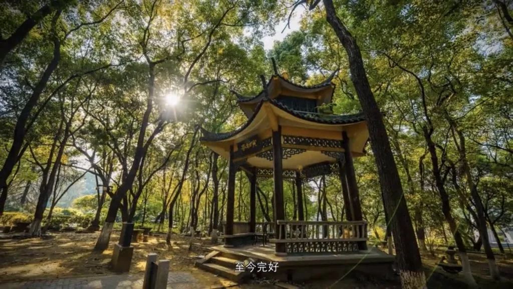 沙坪坝有意思的建筑,探寻重庆老建筑