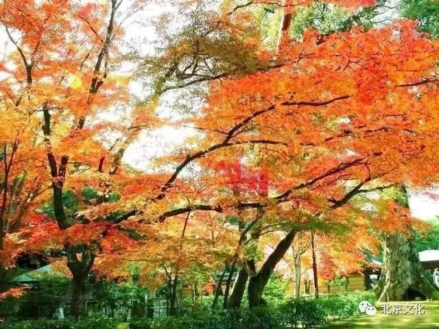 我叫北京，这是我最新的简历，请多关照