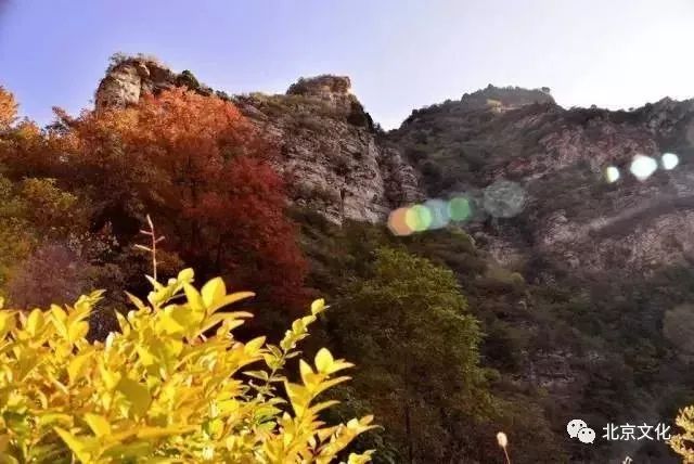 我叫北京，这是我最新的简历，请多关照