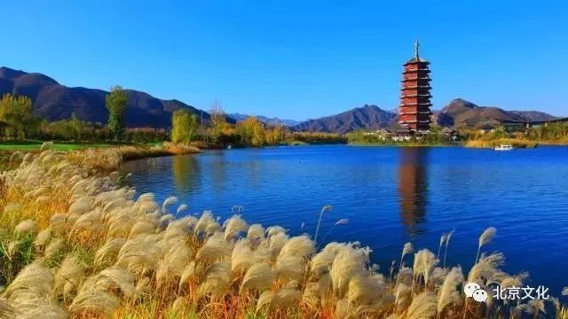 我叫北京，这是我最新的简历，请多关照