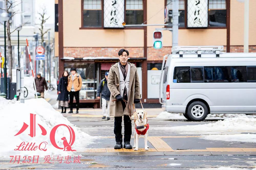 《小Q》：呈现另类生命的和谐图景|名家开奖