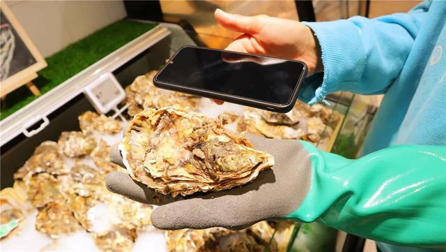 实拍！青岛第二家盒马来了，龙虾89/只、面包蟹98/只
